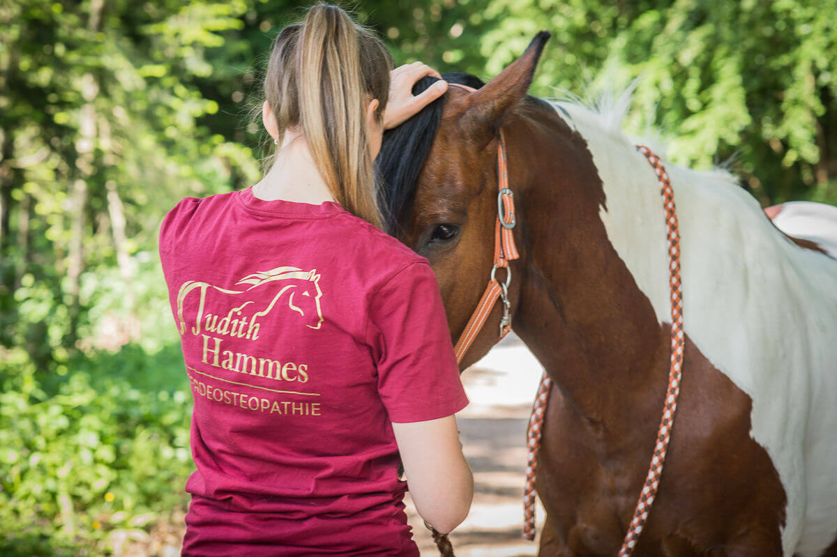 Judith löst die kurze Nackenmuskulatur des Pferdes